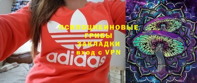 наркотики  Елец  блэк спрут   shop состав  Галлюциногенные грибы мицелий 